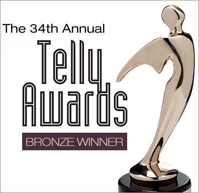 Telly-Awards-2013